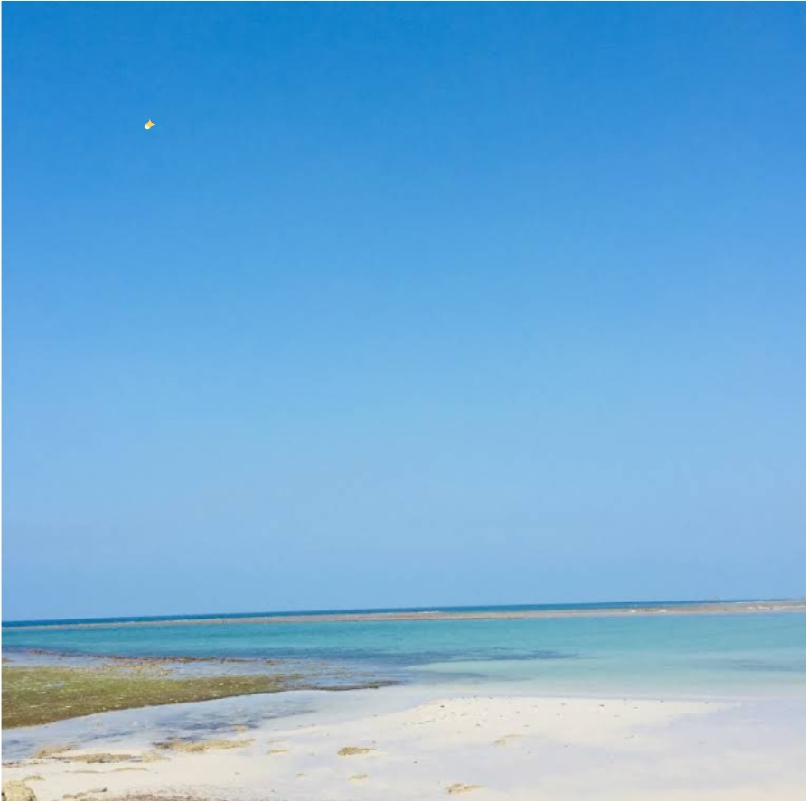 Trikora Beach