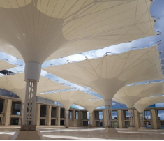 Sultan Mahmud Riayat Syah Mosque